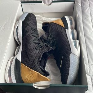lebron xvi low